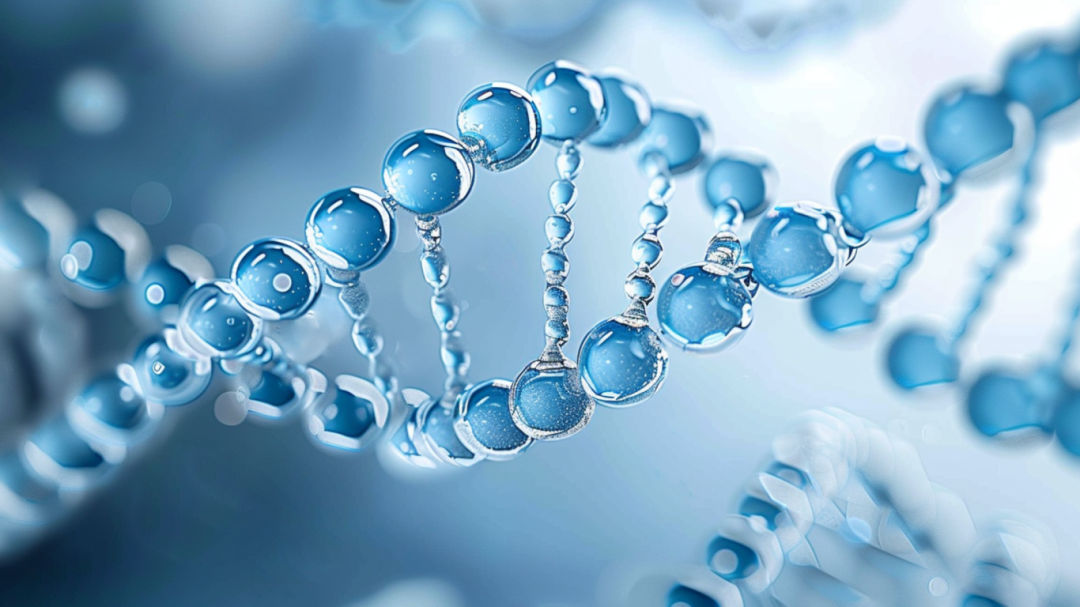 同为三文鱼，PDRN和PN有什么区别？应该怎么选择？